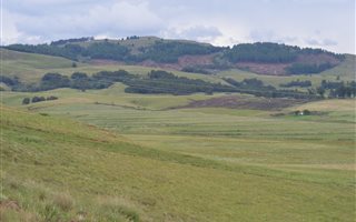 21.9 ha Farm in Winterton