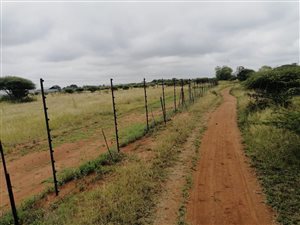 8 ha Farm in Tweefontein