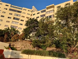 2 Bed Apartment in Paradise Valley