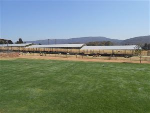 13.8 ha Farm in Heidelberg Central