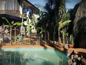 7 Bed House in Franklin Roosevelt Park