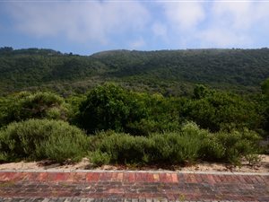 1371 m² Land available in Keurboomstrand