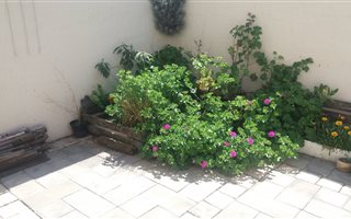 2 Bedroom Apartment in George South