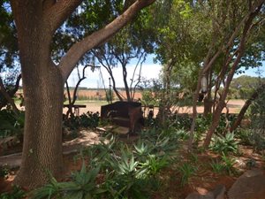 17.2 ha Farm in Bloemfontein