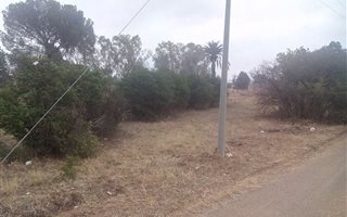 4.3 ha Land available in Bloemspruit