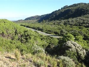 1371 m² Land available in Keurboomstrand