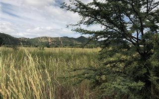 11 ha Farm in Mooinooi