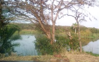 64.8 ha Farm in Empangeni
