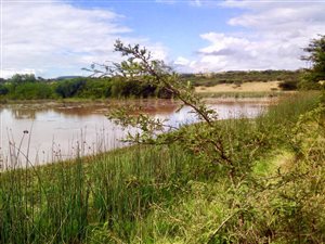 64.8 ha Farm in Empangeni