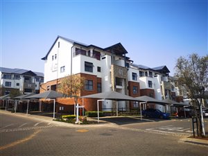 1 Bed Apartment in Olivedale