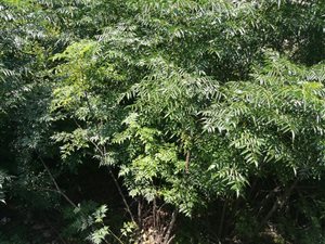 975 m² Land available in Waterkloof Ridge