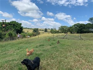 9.9 ha Smallholding in Pietermaritzburg Central