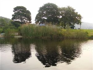 17.9 ha Farm in Buffels Bay