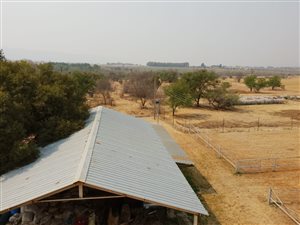 115.9 ha Farm in Skeerpoort