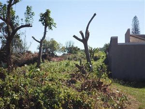 14.2 ha Land available in Desainagar