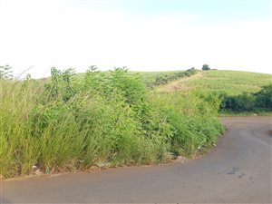 335 m² Land available in Belvedere
