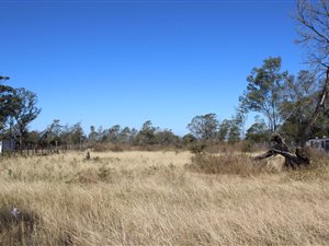 614 m² Land available in King Williams Town
