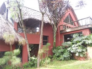 4 Bed House in Hilton