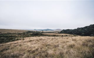23.6 ha Land available in Atteridgeville