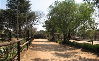 1 ha Farm in Linbro Park