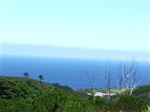 4000 m² Land available in Pezula Private Estate