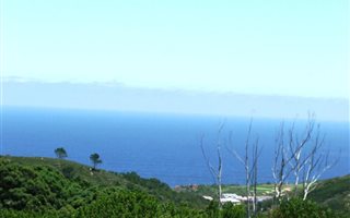 4000 m² Land available in Pezula Private Estate