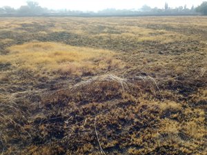 4.2 ha Farm in Rand Collieries