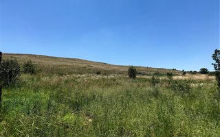 21.4 ha Farm in Muldersdrift