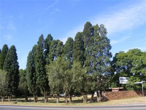 Farm in Die Wilgers