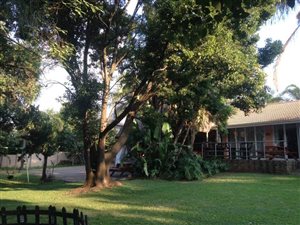 4 Bed House in Amorosa