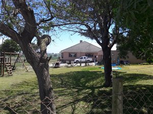 6 ha Farm in Schaap Kraal