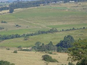 20 ha Land available in Cato Ridge