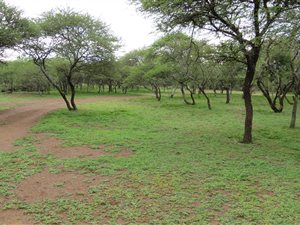 3 ha Land available in Buffelsdrift