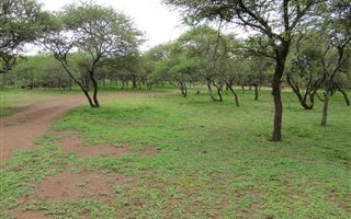 3 ha Land available in Buffelsdrift