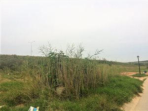 990 m² Land available in Windsor Park