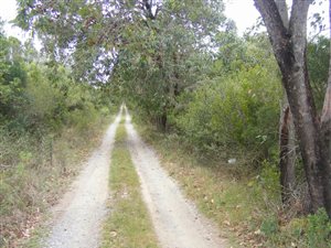 21.5 ha Smallholding in Port Alfred