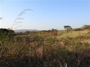 30 m² Farm in Tzaneen