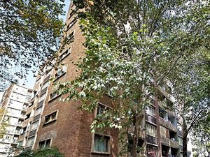 1 Bed Apartment in Joubert Park