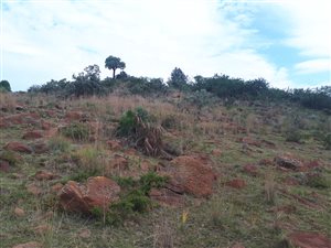 8500 m² Land available in Homestead Apple Orchards