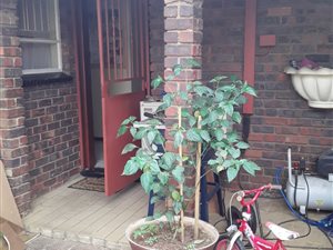 3 Bed House in Rooihuiskraal