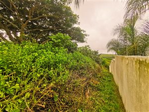 1053 m² Land available in Salt Rock