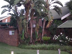 2 Bed Townhouse in Elarduspark