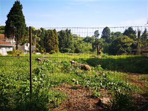 2562 m² Land available in Howick