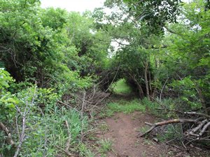 2500 m² Land available in Kampersrus AH