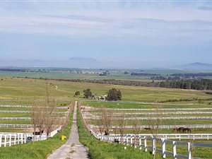 678 ha Farm in Paarl