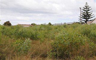 703 m² Land available in Sandbaai