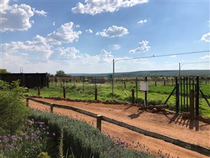 22 m² Farm in Doornlaagte AH
