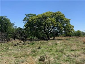 9 ha Farm in Boschkop