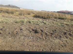 1775 m² Land available in Jameson Park