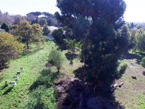2384 m² Land available in Durbanville